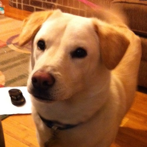 scmtmom's profile picture. 