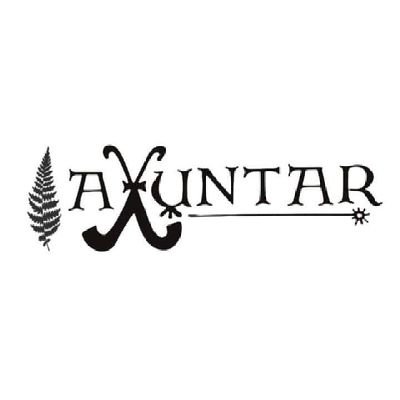 Axuntar Asociación