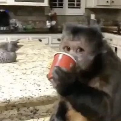 esrraa_kamall's profile picture. فَلا تَقنَع بِما دونَ النُجومِ.