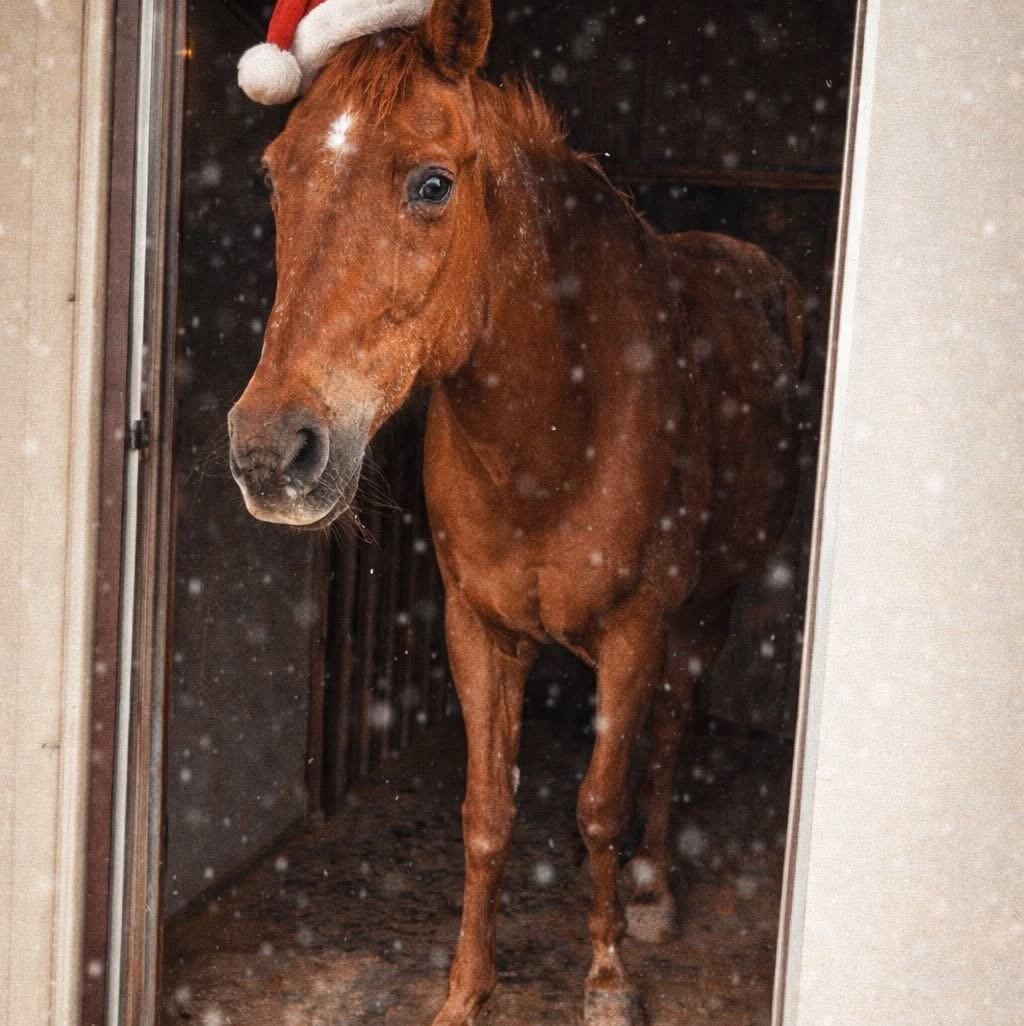 WilSmith2c's profile picture. 