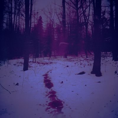 KirasDumbstuffs's profile picture. no one important °^°