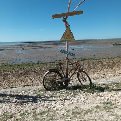 AdeleSann's profile picture. Dans l'âme des gens, les raisins de la colère se gonflent et mûrissent, annonçant les vendanges prochaines.
John Steinbeck