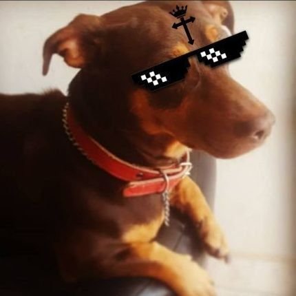 zMasteeer's profile picture. DATA_Almighty 👹🛼 | Gracias a Dios que la misericordia es Santa ✝️🙏| Pupilo de Syrup💯