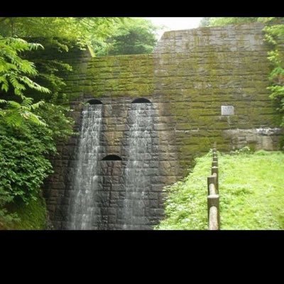 lucianoolivei50's profile picture. 冬はこたつから出ません笑 昼寝とマンガが相棒。楽しく生きていこう〜！