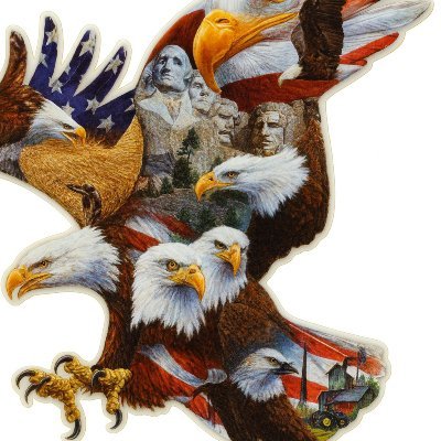 mlpvdp87's profile picture. Faith. Family. Freedom. 🇺🇸
Outdoor lifestyle | Entrepreneur | Stand for truth, live with purpose.