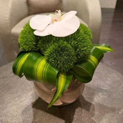 Sanazlabafzadeh's profile picture. Educator / Musician / Artist @ heart❣️Architect by trade👷