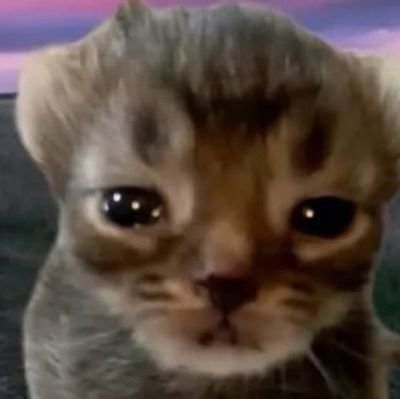 chaos_buns's profile picture. 22 | pfrag system | enby | i probably was dropped on my head as a child | i have over 10k hours in terraria for some reason