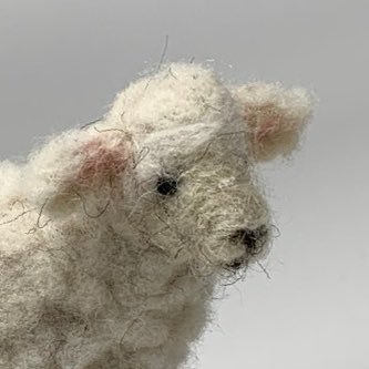 fakebabylamb's profile picture. things happen to everyone