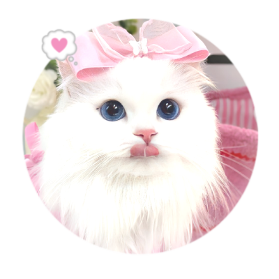 priorihty's profile picture. . . . hello ✿% pals! 🩹🍧. ♡✿  __  #🐰 (੭˃ᴗ˂)੭ constellations with the fusion of night light ♥︎%