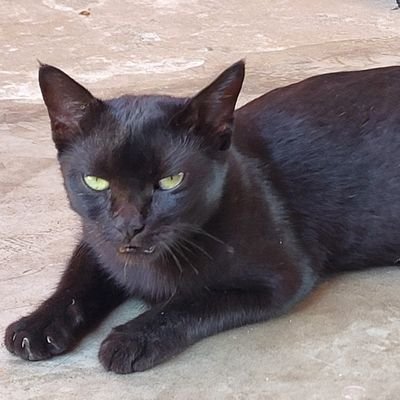 xkt_Krishna's profile picture. 