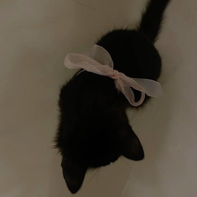 PoU_8Kk's profile picture. 비전공자 대학생의 디자인 기록지 🐰✨