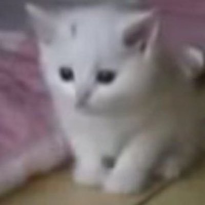 liliillilllili's profile picture. 