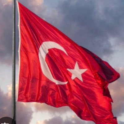 Seka56531220's profile picture. Fenerbahçe 🫶🏻💙💛🥰🇹🇷