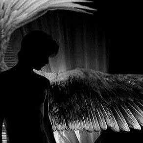 piercethecarer's profile picture. 