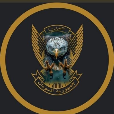 sdammhmwdmhmd1's profile picture. 