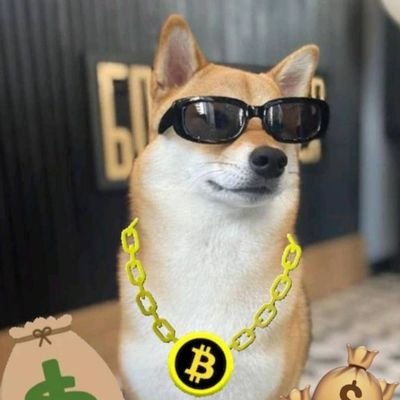 BAD_BOYS231's profile picture. 