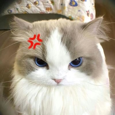 Kl93kDp's profile picture. 