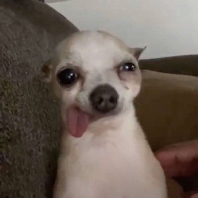 19coronavirus19's profile picture. 🌺