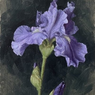 starvingweevil's profile picture. 