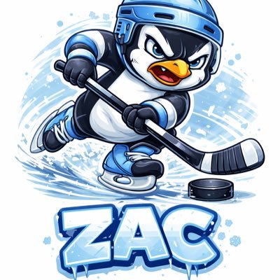 bookbeaterzac's profile picture. i bet hockey | all plays posted | 26’: 💰+32.07u | #LetsGoPens