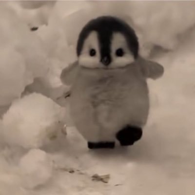 squaits_'s profile picture. Entirely original and cool