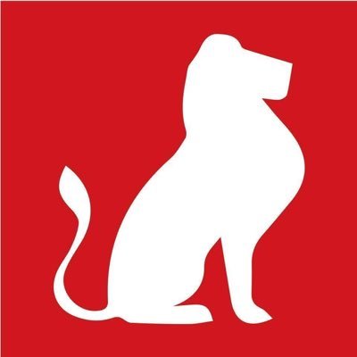 JDC_Fr's profile picture. Journal en ligne sur le Cameroun