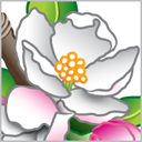 BlossomTwig's profile picture. Crafter of artisan soaps & bath/body products, photographer, cat lover, friend of planet Earth, avid reader, devoted wifey. https://t.co/1Pm0zxhu77