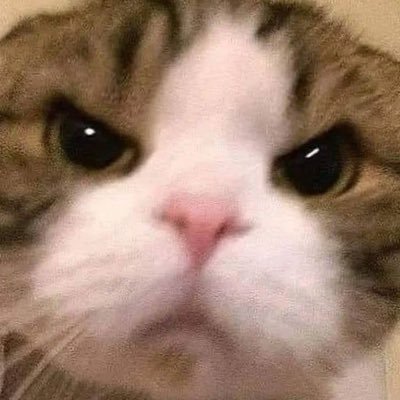 めあでしゅ🥴🛰️🔫