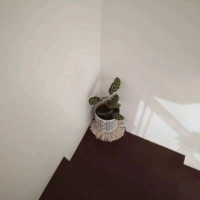 chei74's profile picture. 