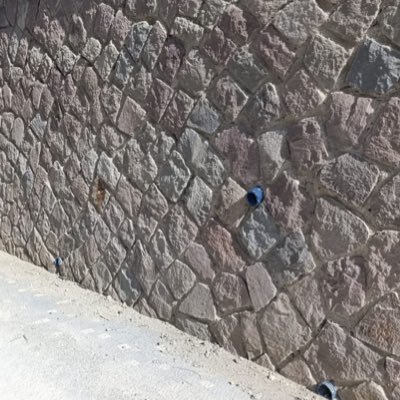 Noanoa202076's profile picture. 