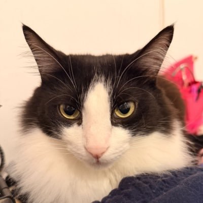 ableJfps's profile picture. 