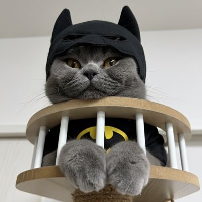 tan_tan830's profile picture. 🔰ポタオデの初心者です。よろしくお願い致します。