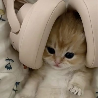 sijnjcp's profile picture. local news source