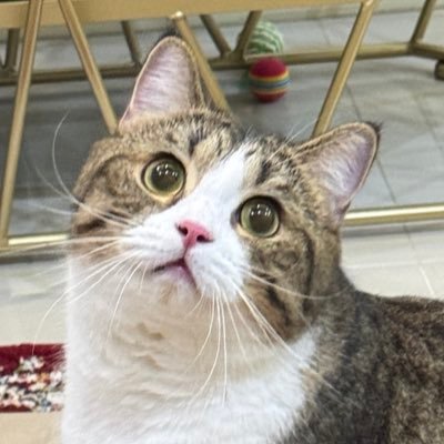 NP2_NP220169's profile picture. 