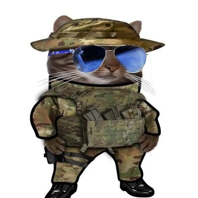 TinaVelasko's profile picture. Childless cat lady who's here to support Ukraine. #NAFOCatsDivision. No MAGAs 🚫
Also on @regalfella.bsky.social