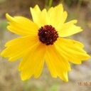 Meghan Webb - @mwebb1115 - Twitter