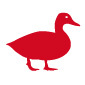 Red Duck - real craft beer from a real craft brewery