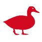 Red Duck Beer (@redduckbeer1) 's Twitter Profile
