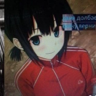 kitty_a2a's profile picture. 