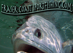 Paul Dolan has been fly and lure fishing the Fraser Coast region since 1994 in a wide variety of fresh and salt water areas. Guide for fishing Fraser Island