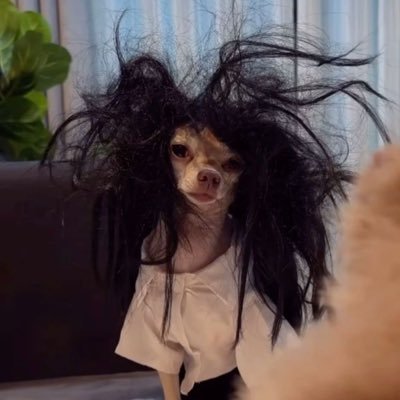 j02yv's profile picture. 