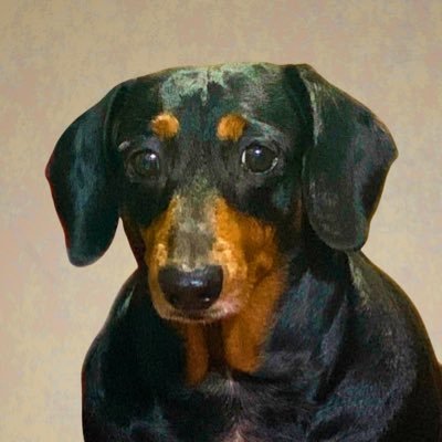 kimbamheo's profile picture. 