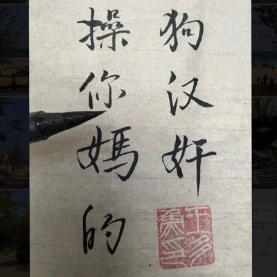 wjnho5756188263's profile picture. 内网喷硕鼠家贼 外网喷反贼汉奸 替天行道