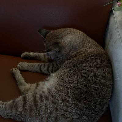 sasikan_277's profile picture. 