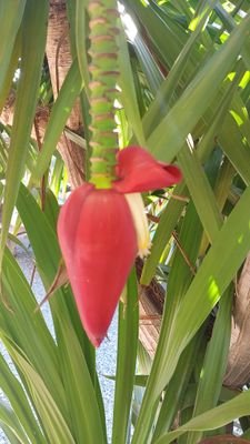 aunaun207424's profile picture. 