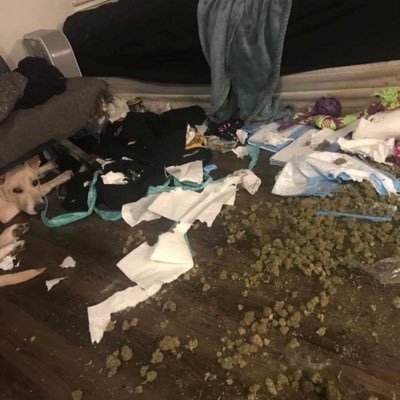 sniperlowkey53's profile picture. DTF/Hk