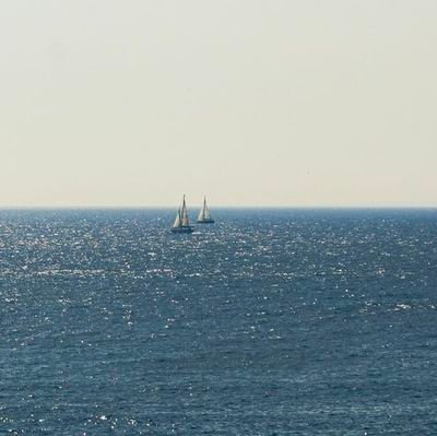 tulisananin's profile picture. menulis untuk mengingat, berbagi untuk merasa ꫂ❁