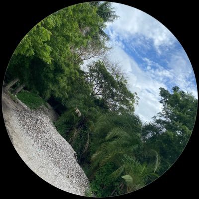 MbalingJ43279's profile picture. 