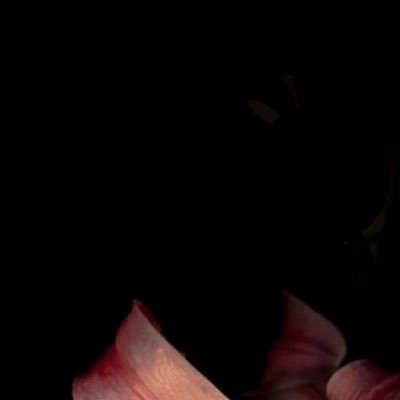 Hamzach1994's profile picture. 𝐀𝐋𝐋𝐀𝐇 𝐒𝐔𝐁𝐇𝐀𝐍𝐀𝐇𝐔 𝐖𝐀 𝐓𝐀'𝐀𝐋𝐀 FIRST.