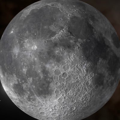 naonaochan_to's profile picture. 久保サーモンとろたというアナグラム